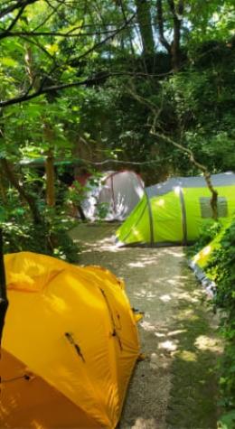 campingcastelsanpietro fr verone-experiences 016